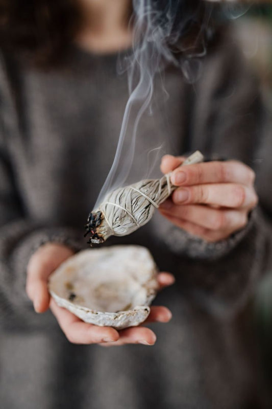 白鼠尾草淨化磁場